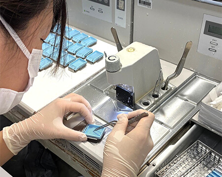 標本作製1（包埋）