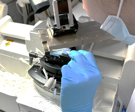 標本作製2（薄切）