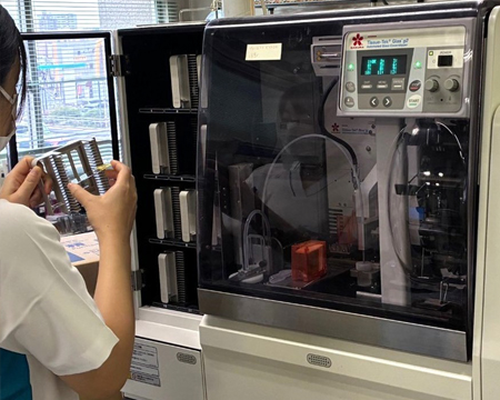 標本作製3（染色）