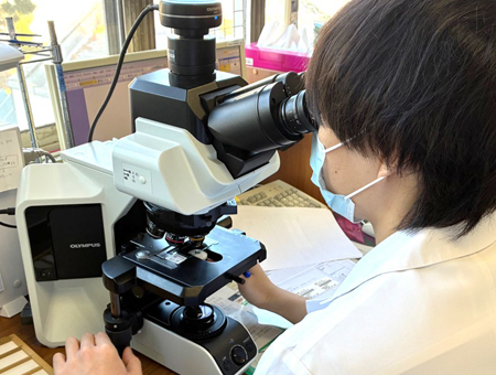 細胞診スクリーニング